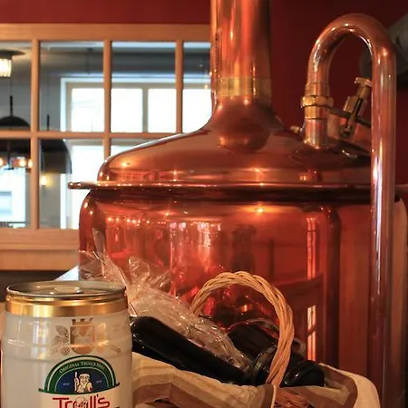 فندق Troll's Brauhaushotel ميدهباخ