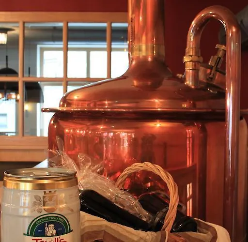 Hotel Troll's Brauhaushotel Medebach